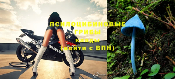 мдпв Вязьма