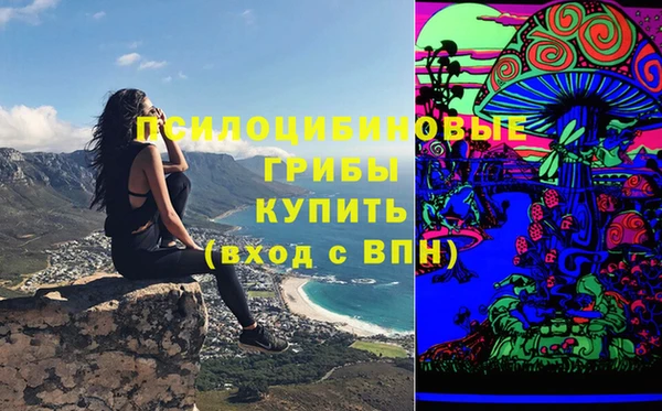 a pvp Вязники