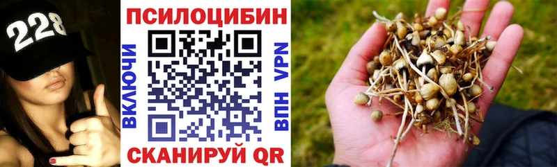 Купить  Камызяк  Галлюциногенные грибы Magic Shrooms 